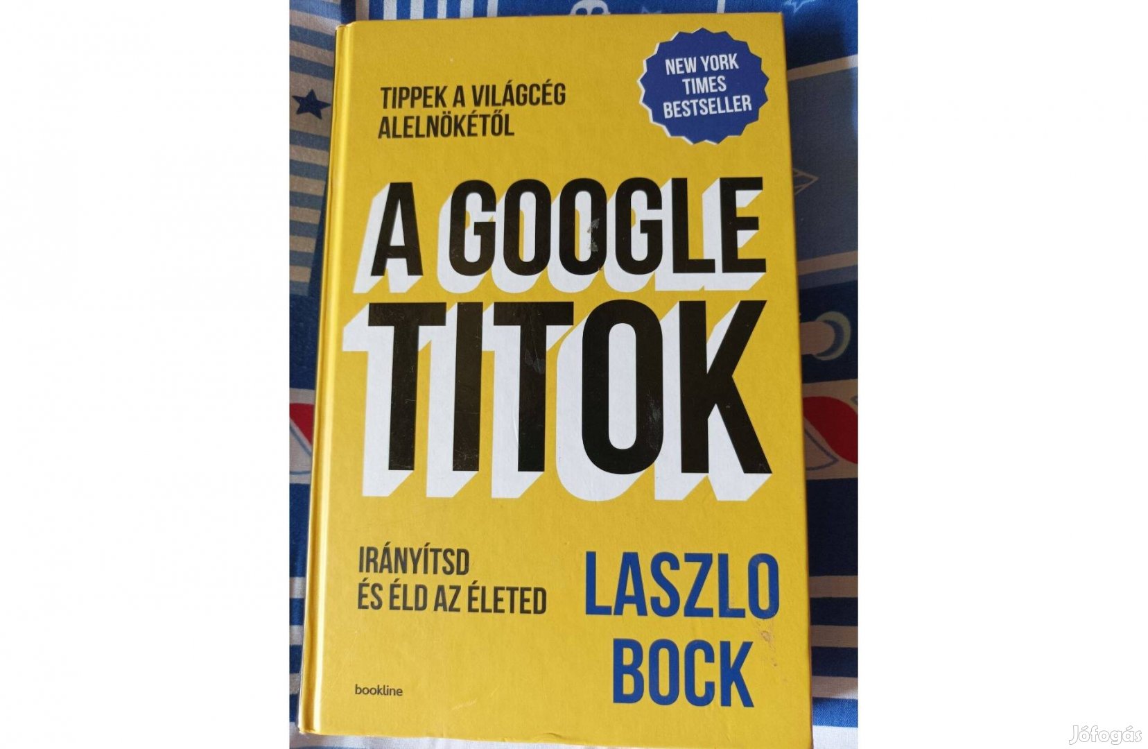 Bock László: A Google titok