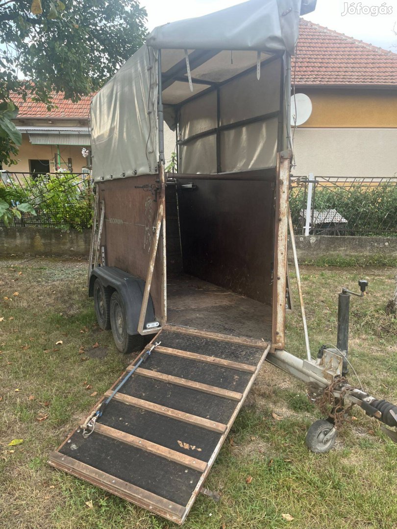 Böckmann Lószállító eladó