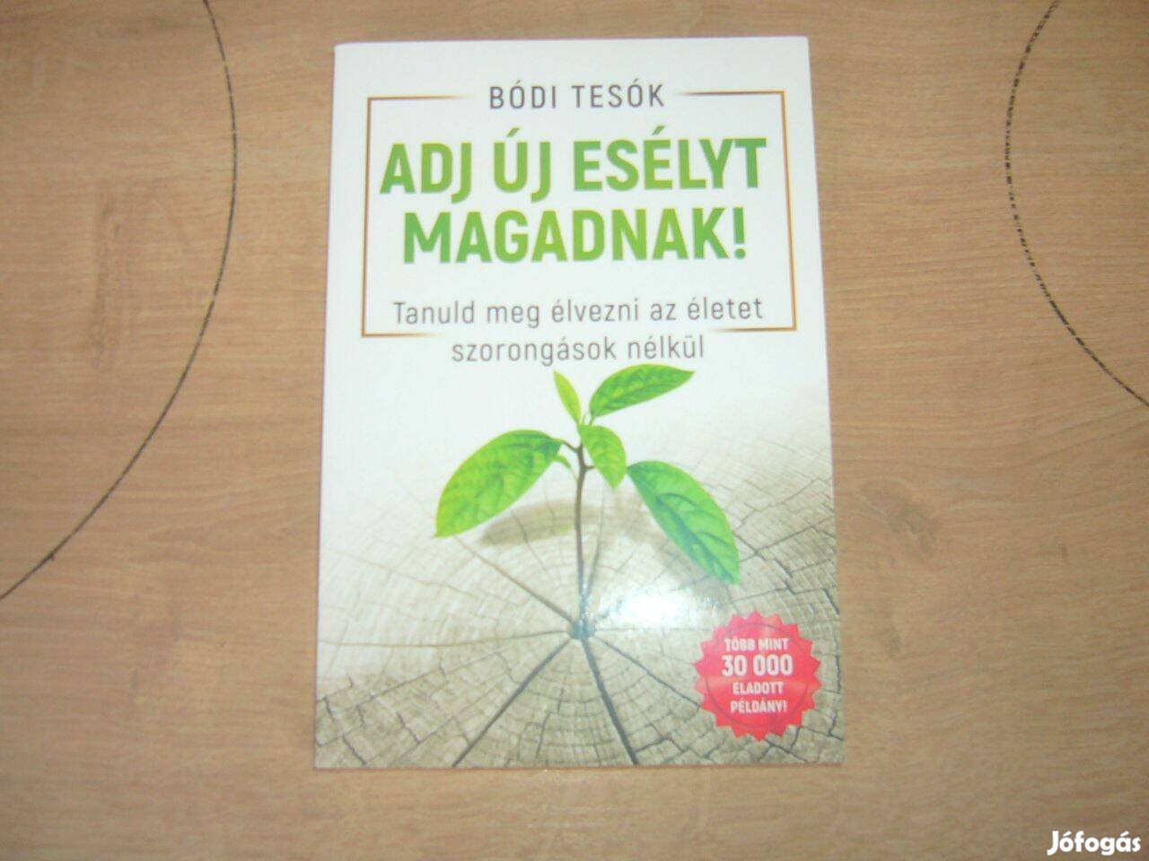 Bódi tesók - Adj új esélyt magadnak!