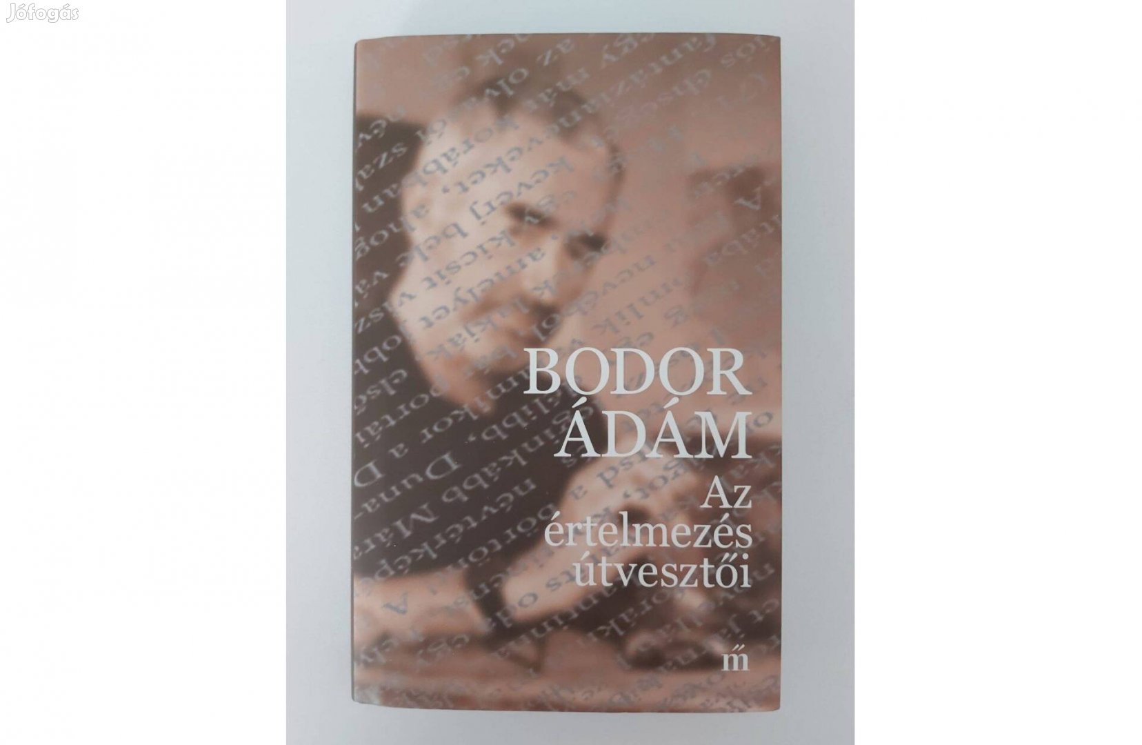 Bodor Ádám: Az értelmezés útvesztői