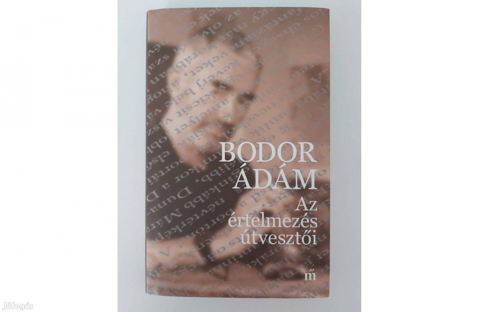 Bodor Ádám: Az értelmezés útvesztői