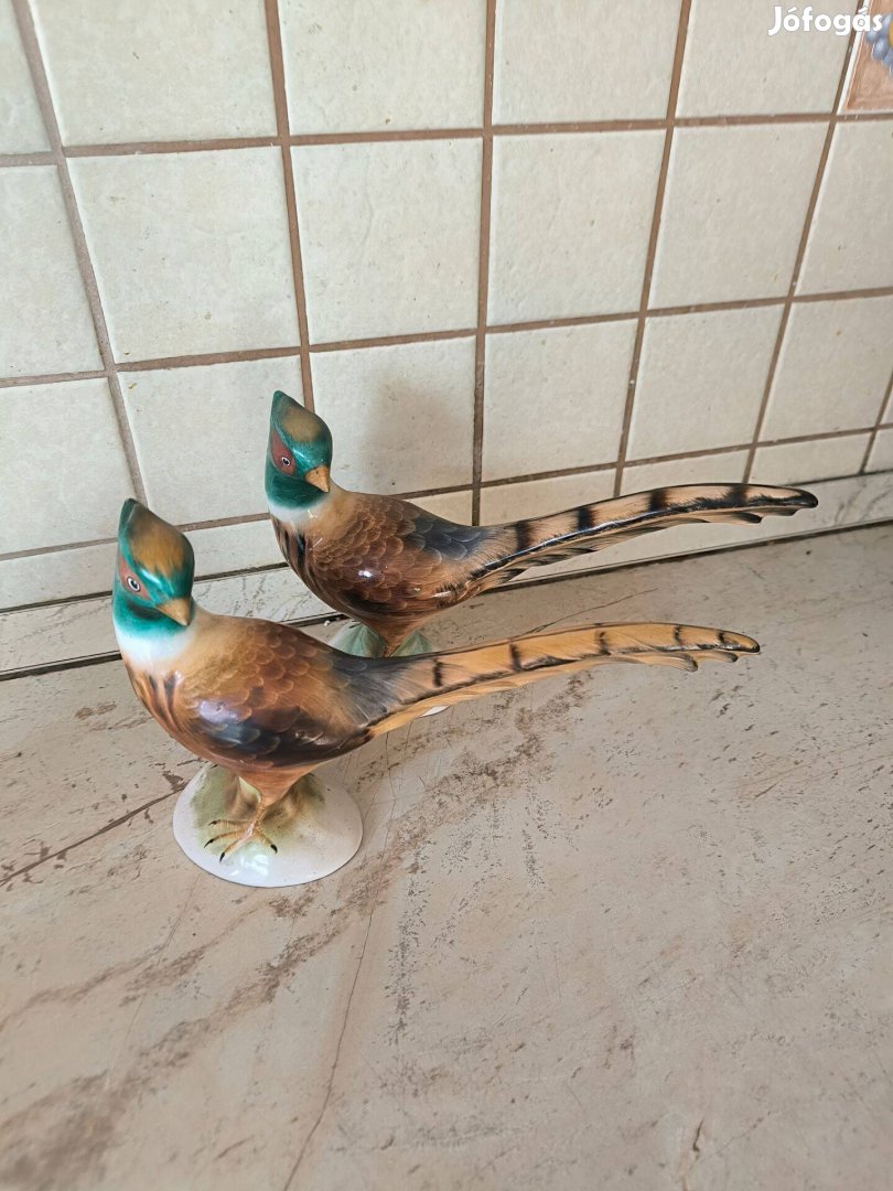 Bodrogkeresztúra fácán 2 db eladó!