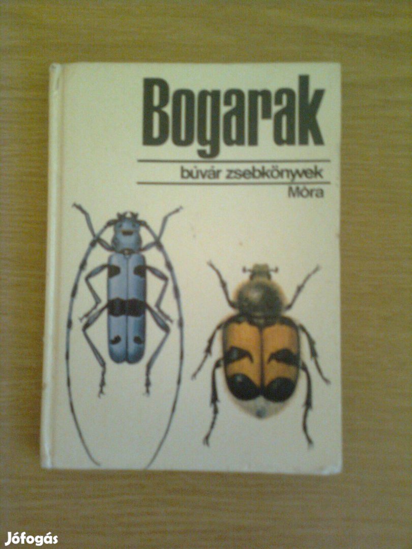 Bogarak (biológia) búvár zsebkönyvek