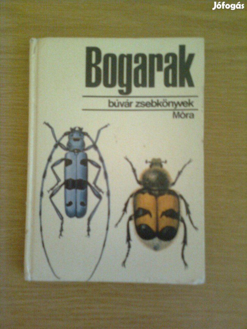 Bogarak (búvár zsebkönyvek / biológia)