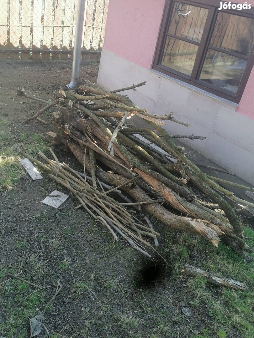 Bográcsfa ingyen elvihető.
