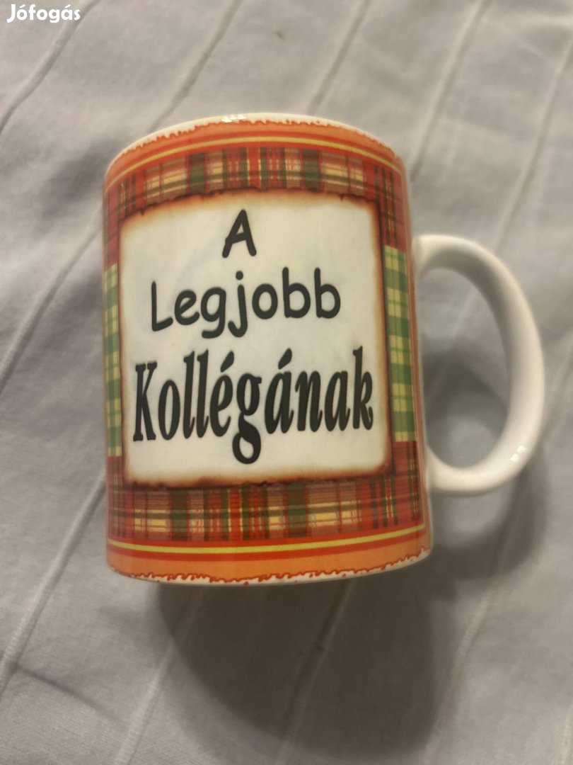 Bögre-a legjobb kollégának