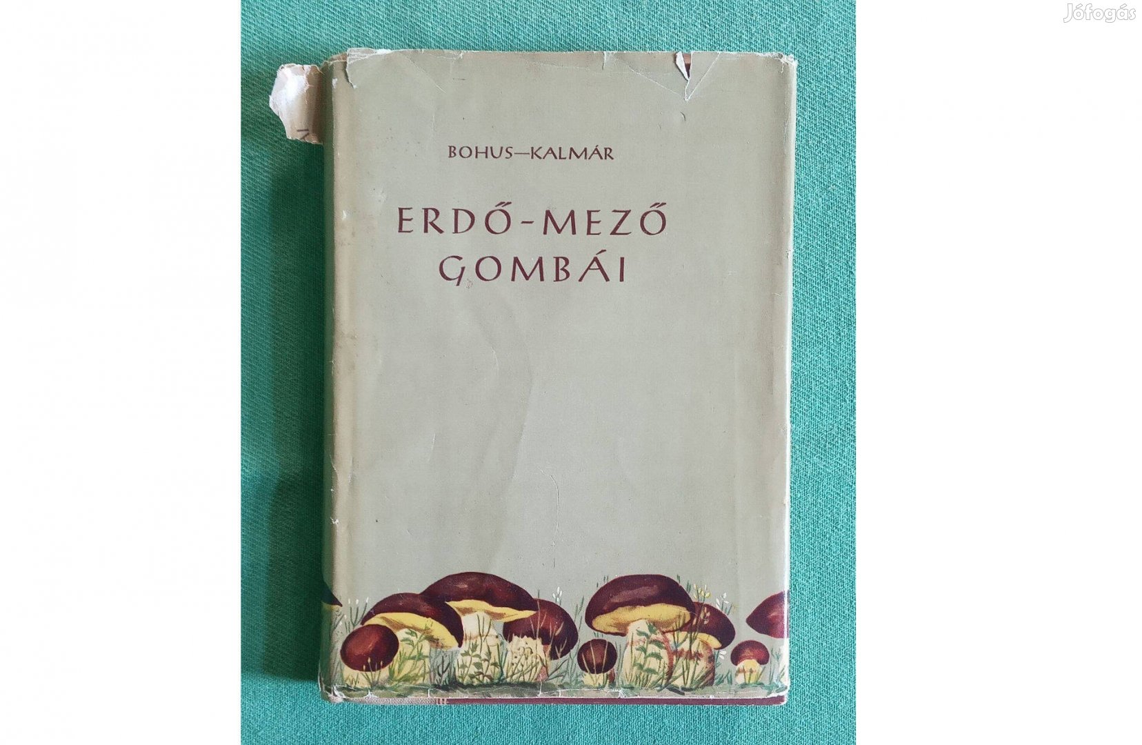 Bohus-Kalmár: Erdő-mező gombái