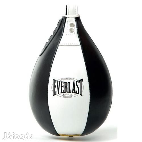 Bokszkörte EVERLAST SPEED BAG