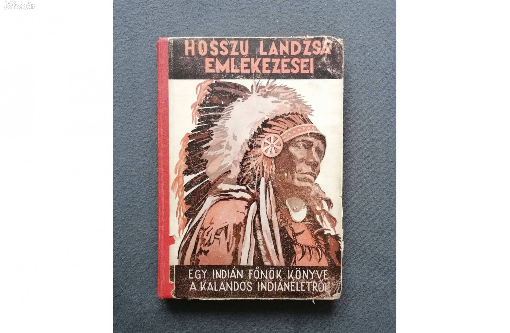 Bölényfia Hosszú Lándzsa: Hosszú Lándzsa emlékezései