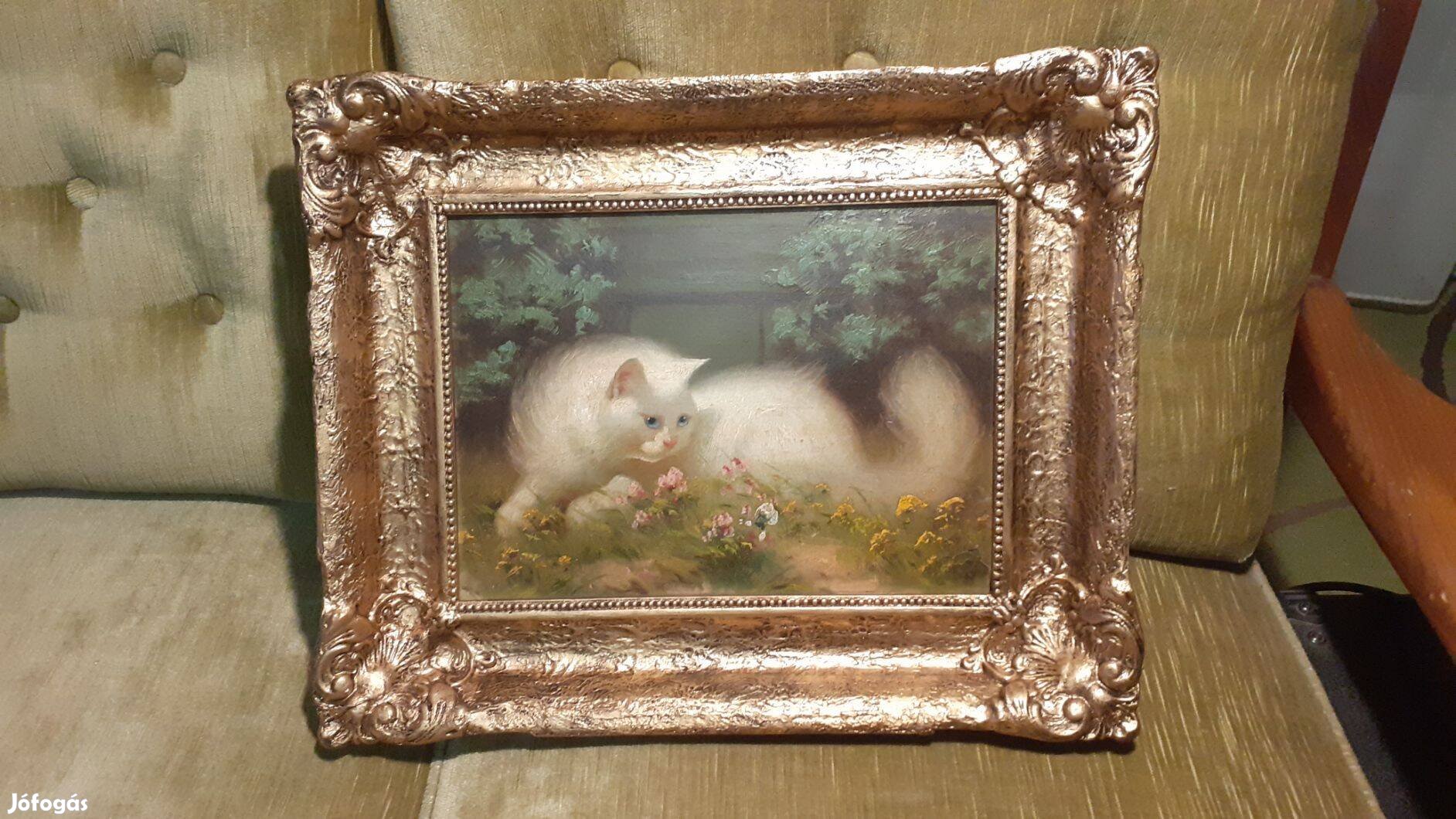 Boleradszky Benő Perzsa cica festmény