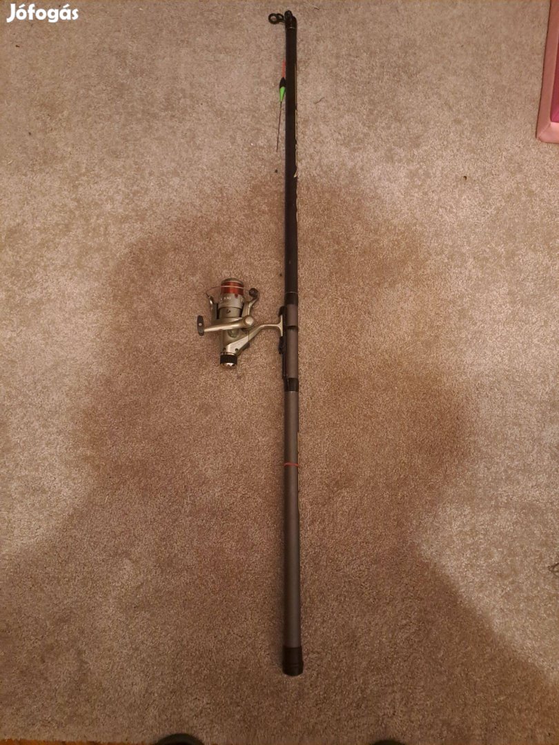 Bolonyai bot orsóval