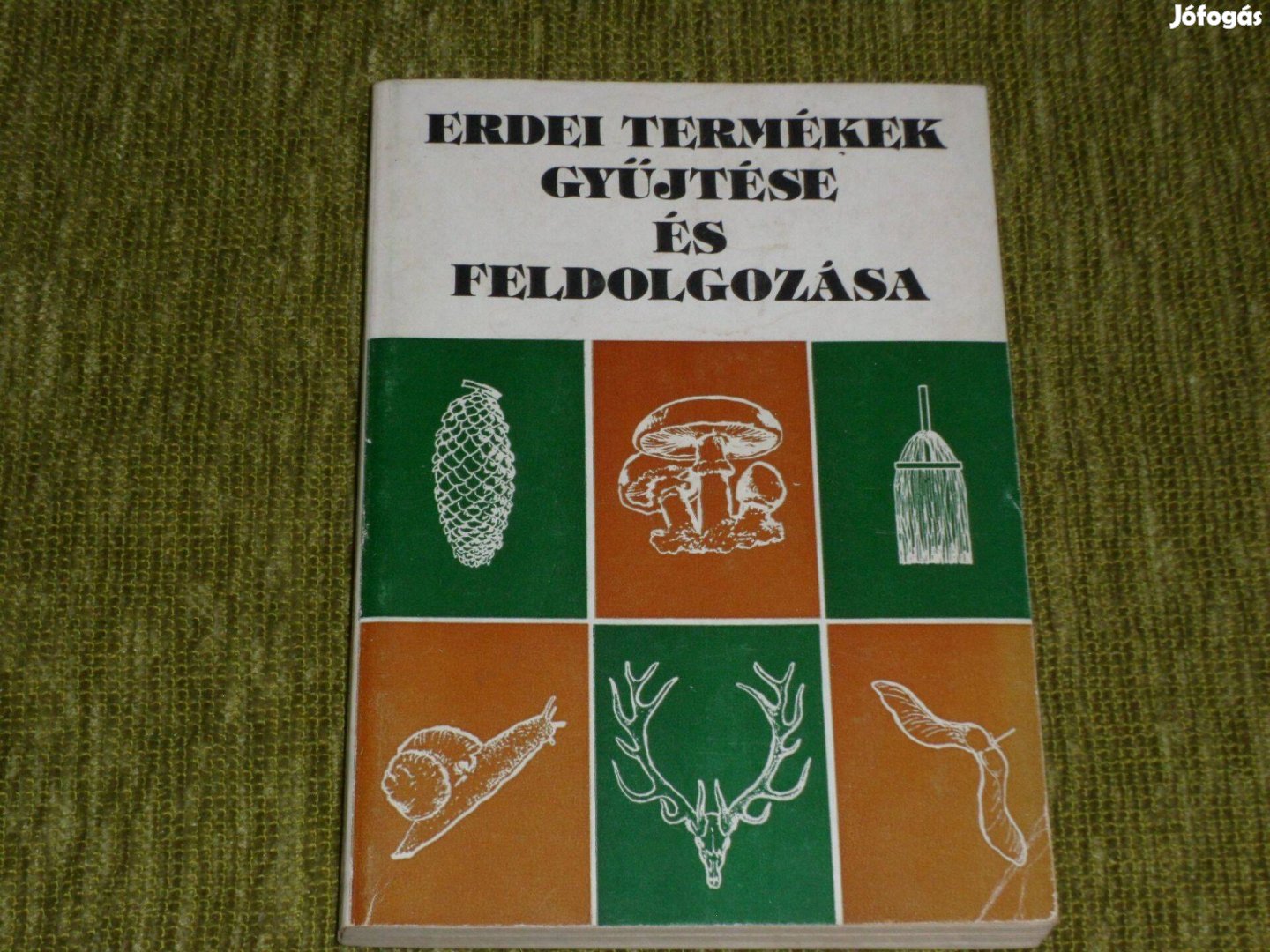 Bondor Antal: Erdei termékek gyűjtése és feldolgozása