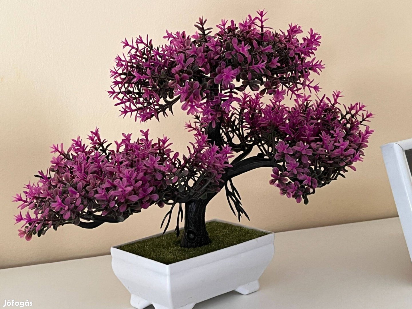 Bonsai dísznövény otthon dekor dekoráció fa lila japán fa