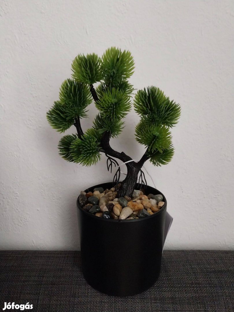 Bonsai gyönyörűszép műnövény