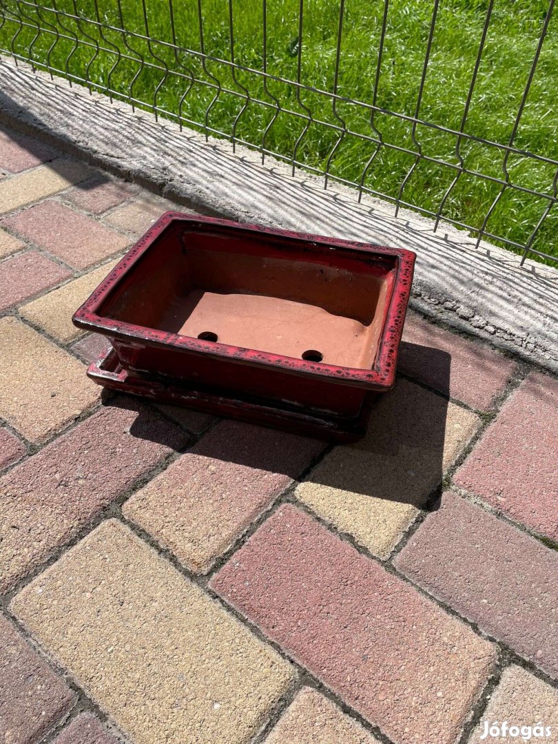 Bonsai tál!!!