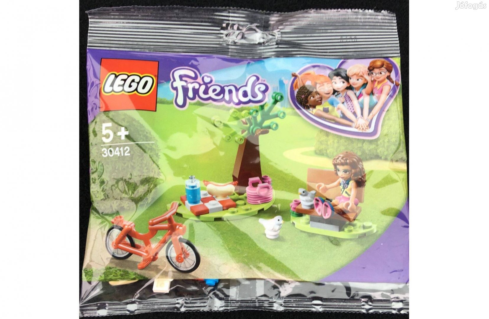 Bontatlan LEGO Friends Piknik a parkban 30412