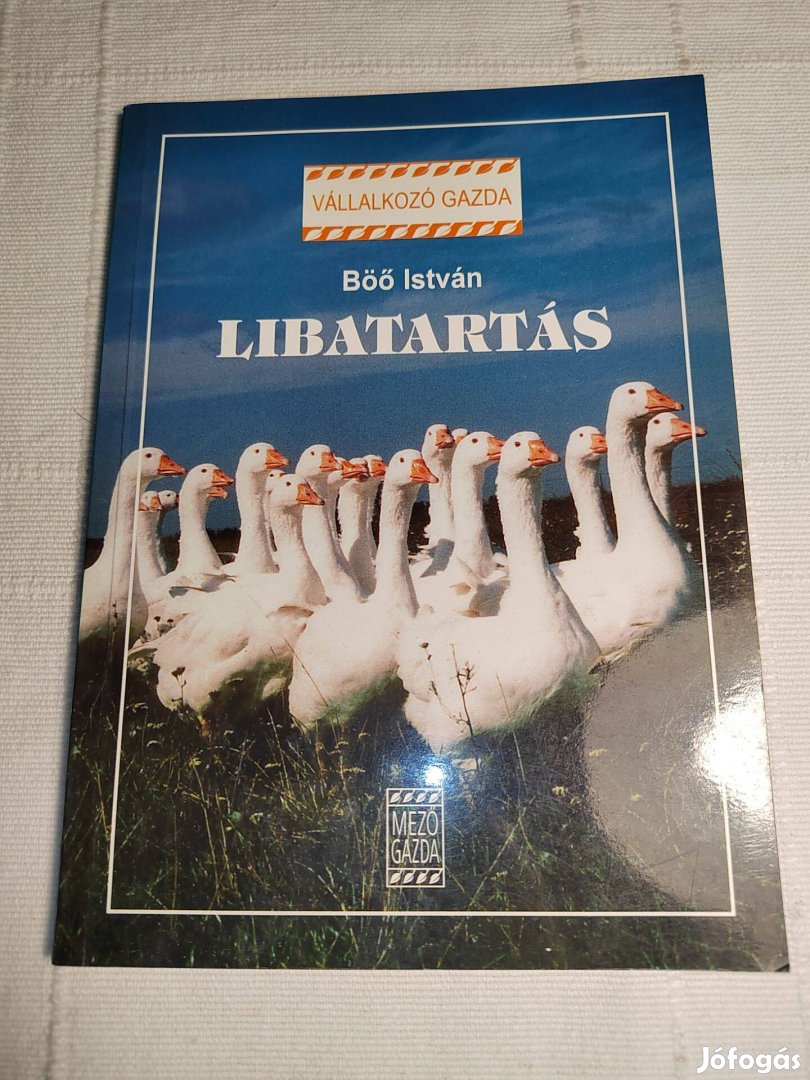 Böő István: Libatartás