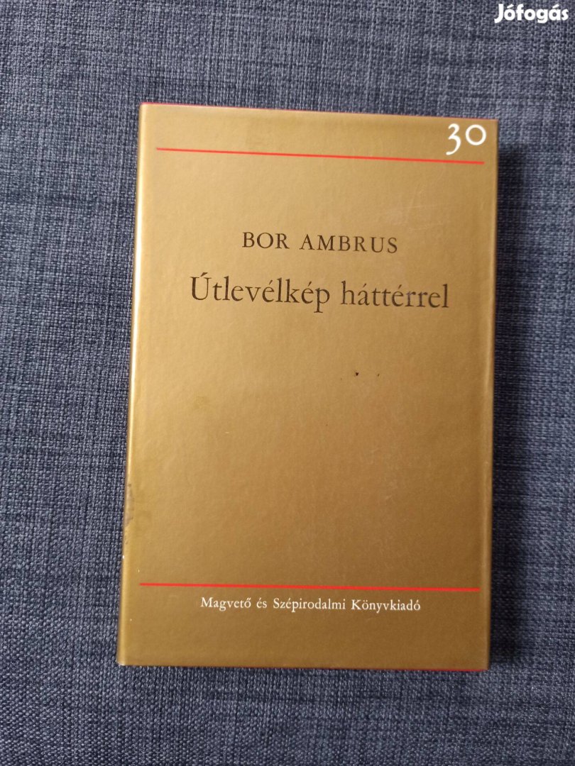 Bor Ambrus - Útlevélkép háttérrel