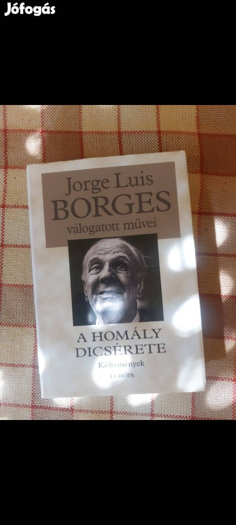 Borges A homály dicsérete 
