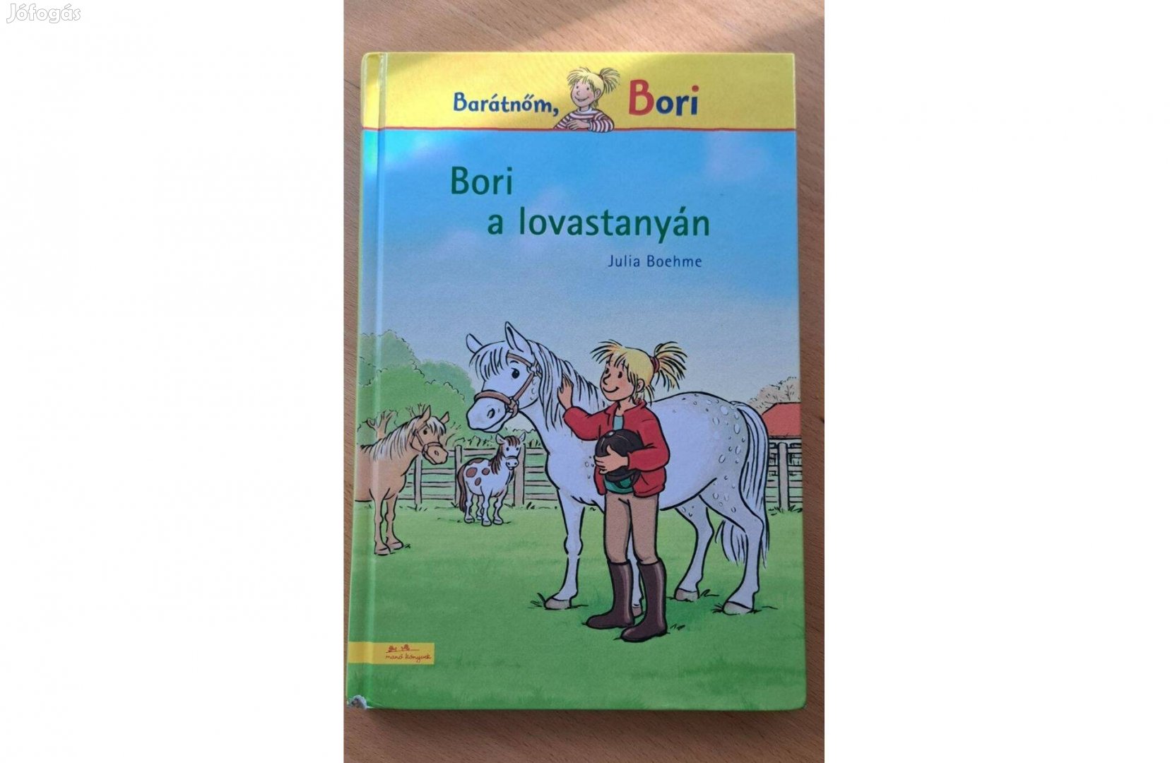 Bori a lovastanyán, Bori és az erdei nyomozók, Iskolai barátságok