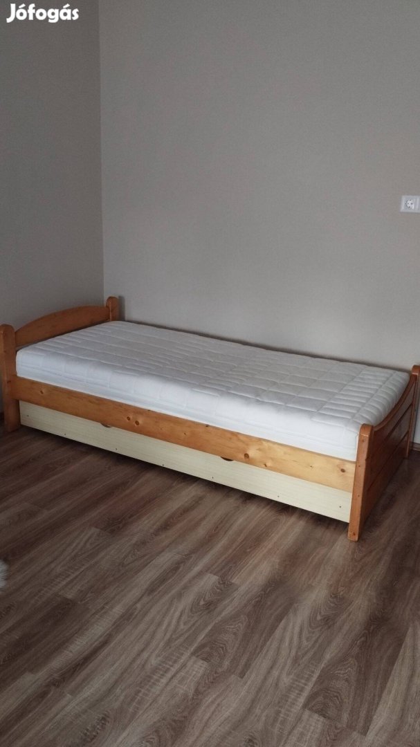 Borovi fenyő ágy