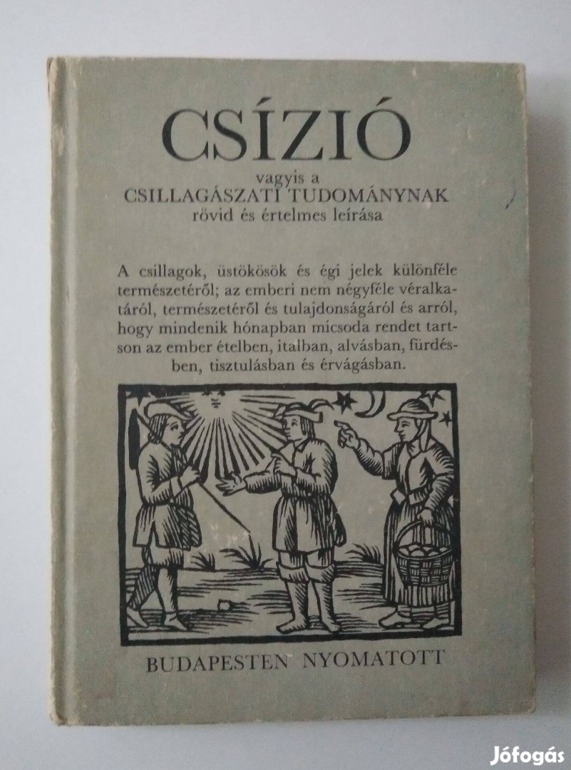 Borsa Gedeon - Csízió, vagyis a csillagászati tudománynak rövid és é