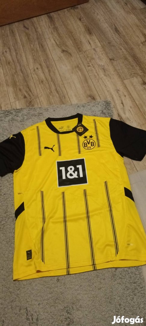 Borussia Dortmund 24-25 focimez 