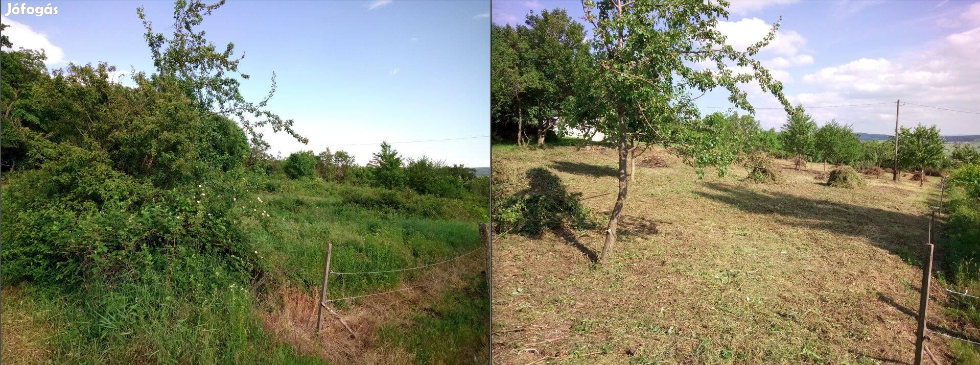 Bozótirtás, telektisztítás Zala Veszprém Balaton