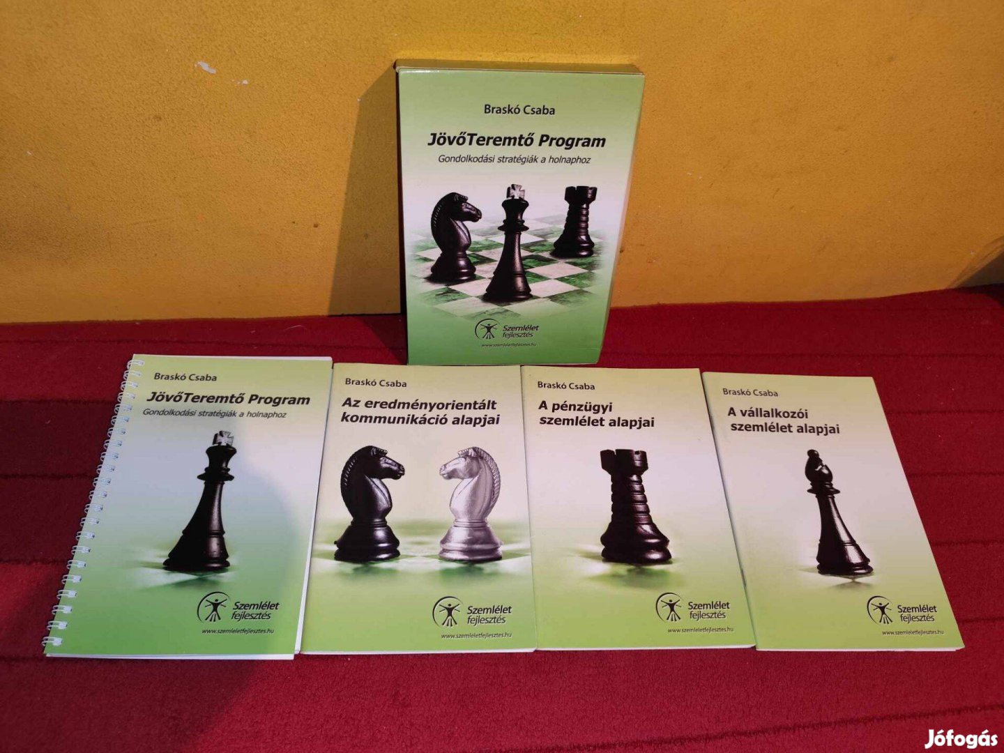 Braskó Csaba: Jövőteremtő Program