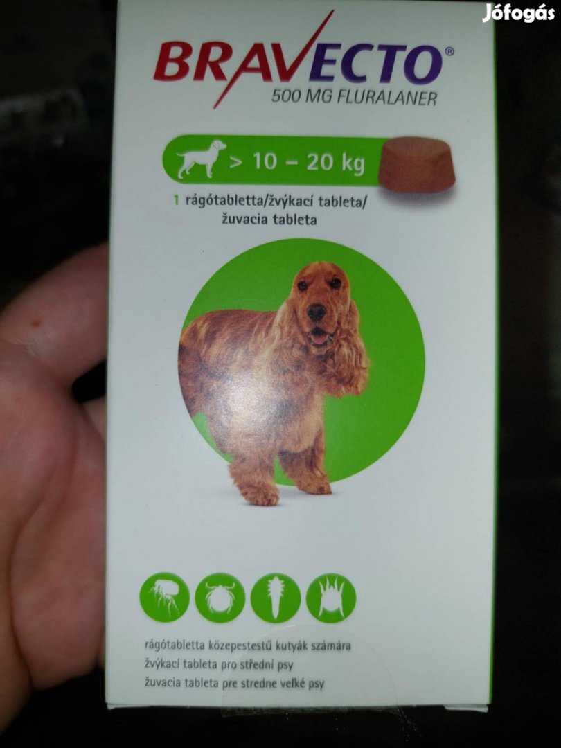 Bravecto kutyáknak 10-20 kg
