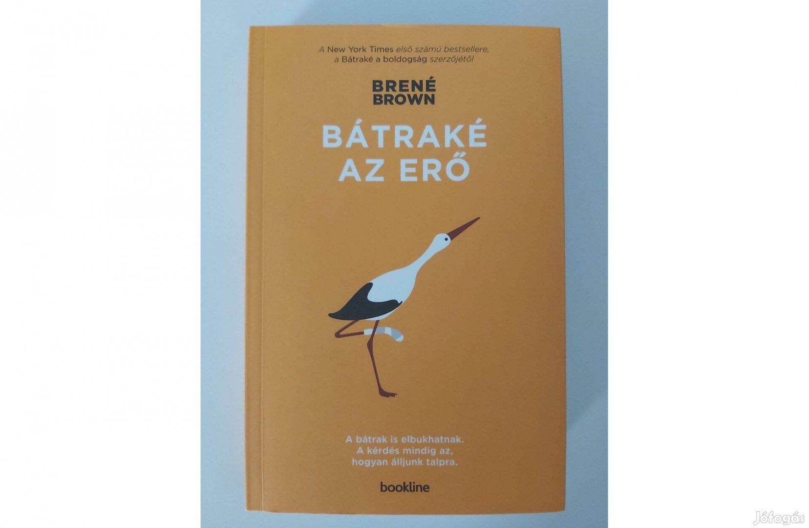 Brené Brown: Bátraké az erő