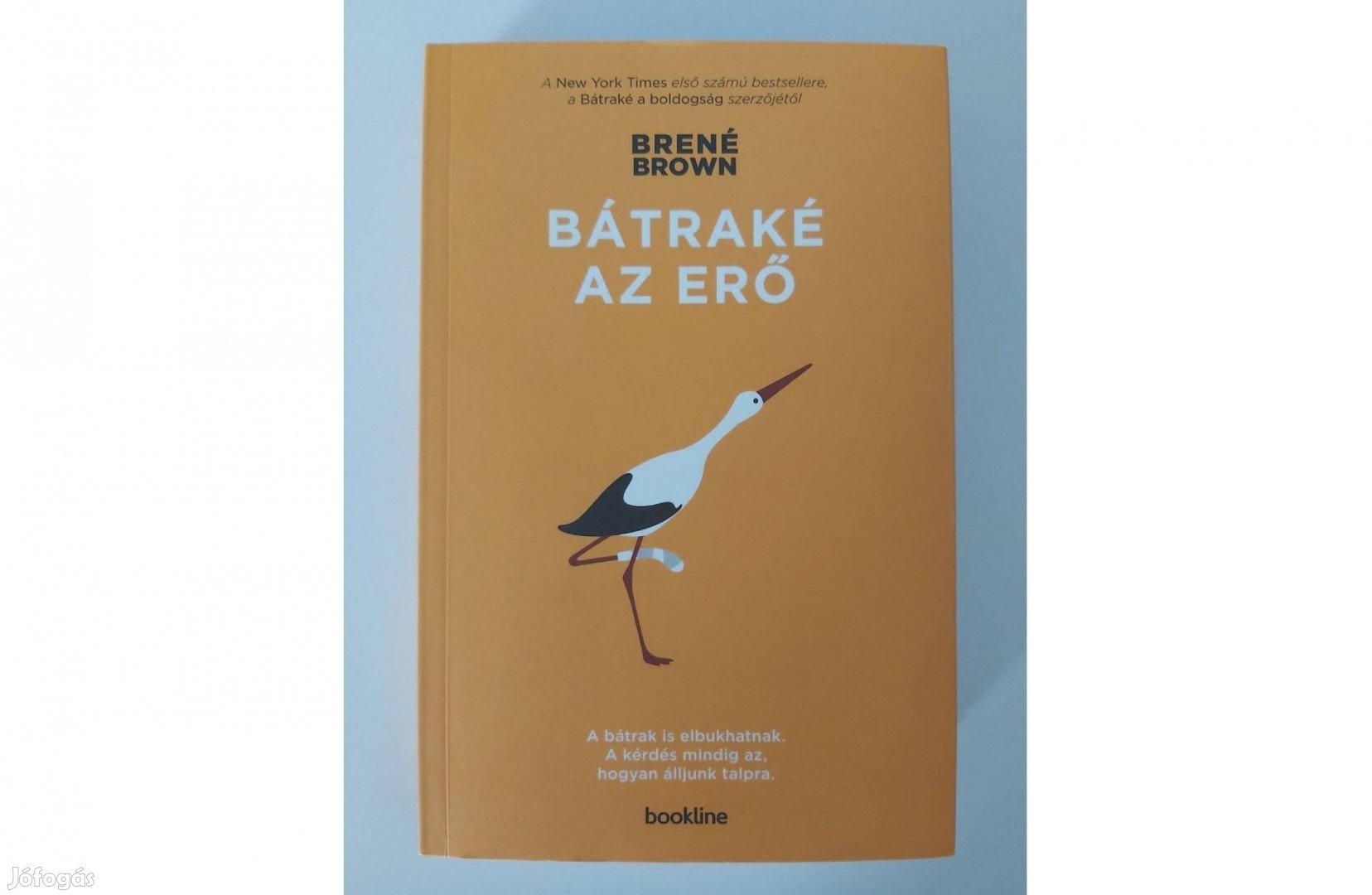 Brené Brown: Bátraké az erő