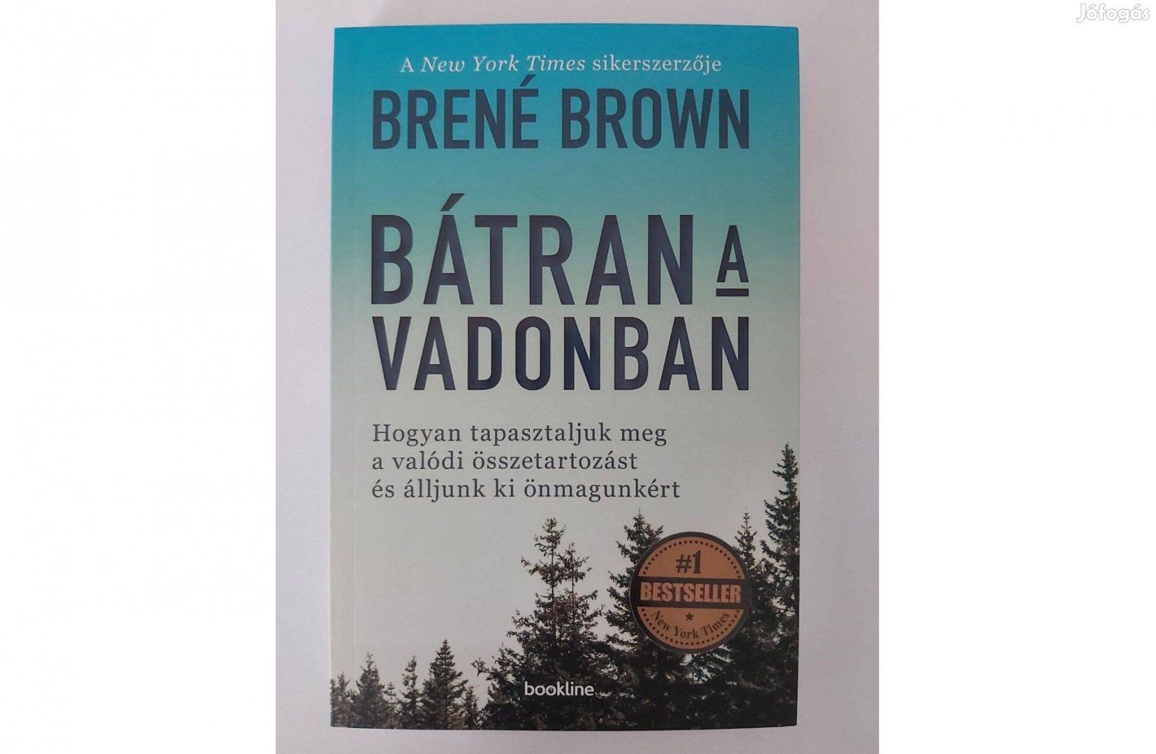 Brené Brown: Bátran a vadonban