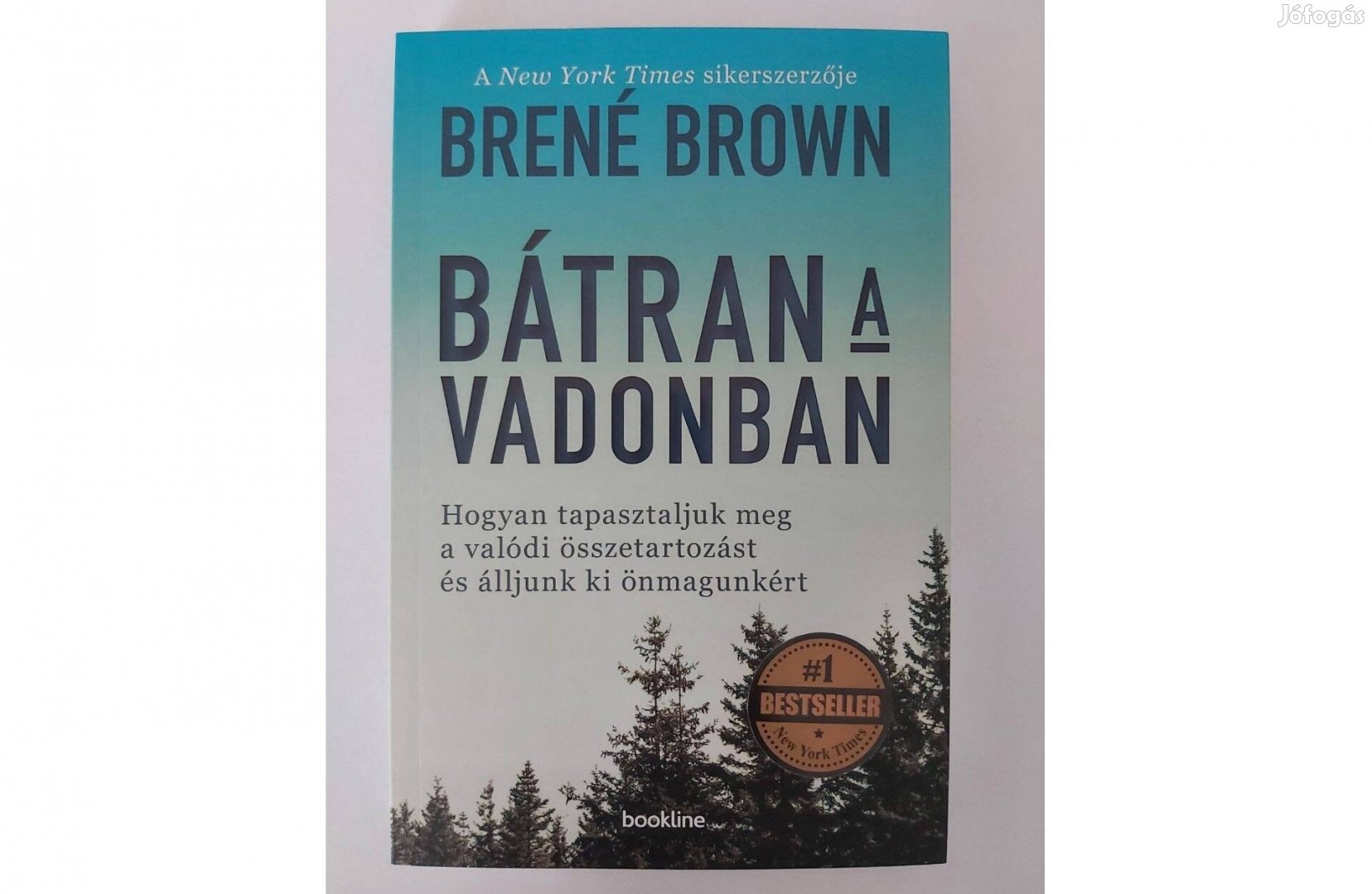 Brené Brown: Bátran a vadonban