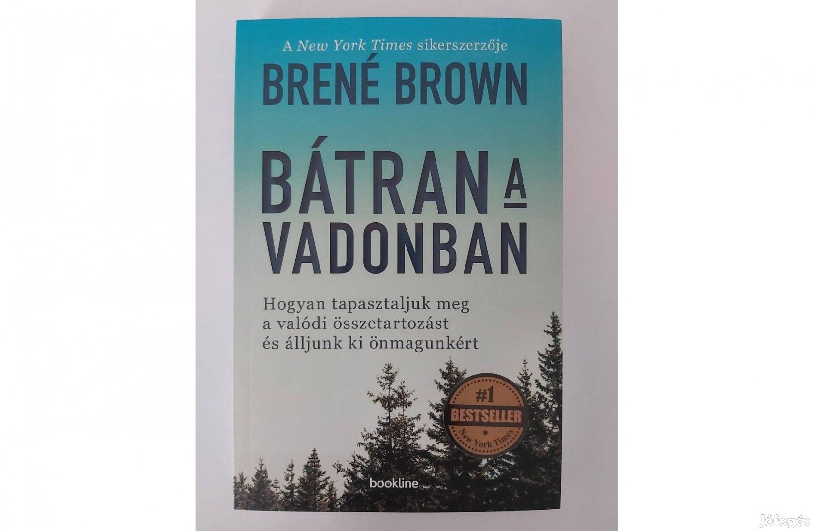 Brené Brown: Bátran a vadonban