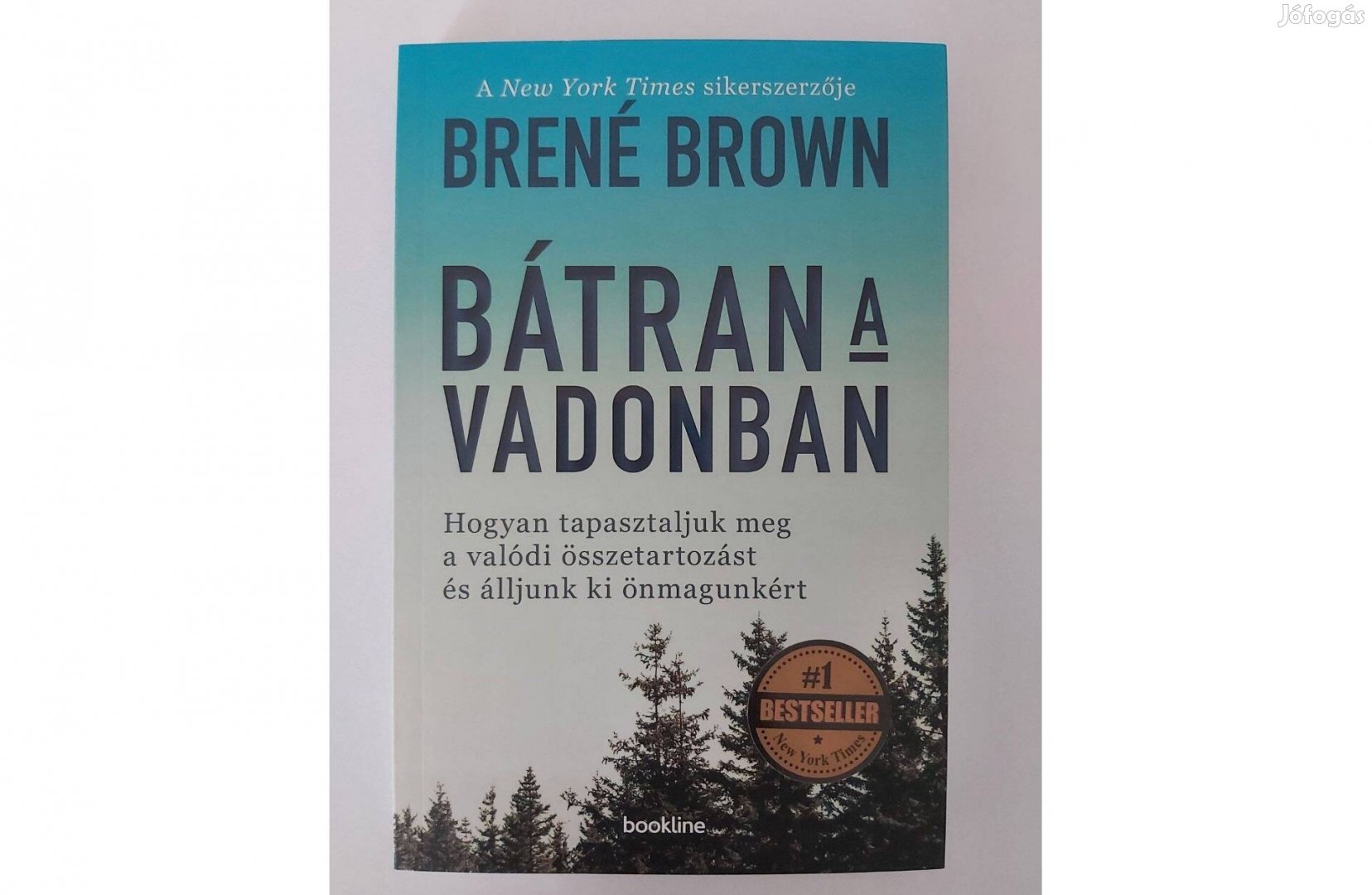 Brené Brown: Bátran a vadonban