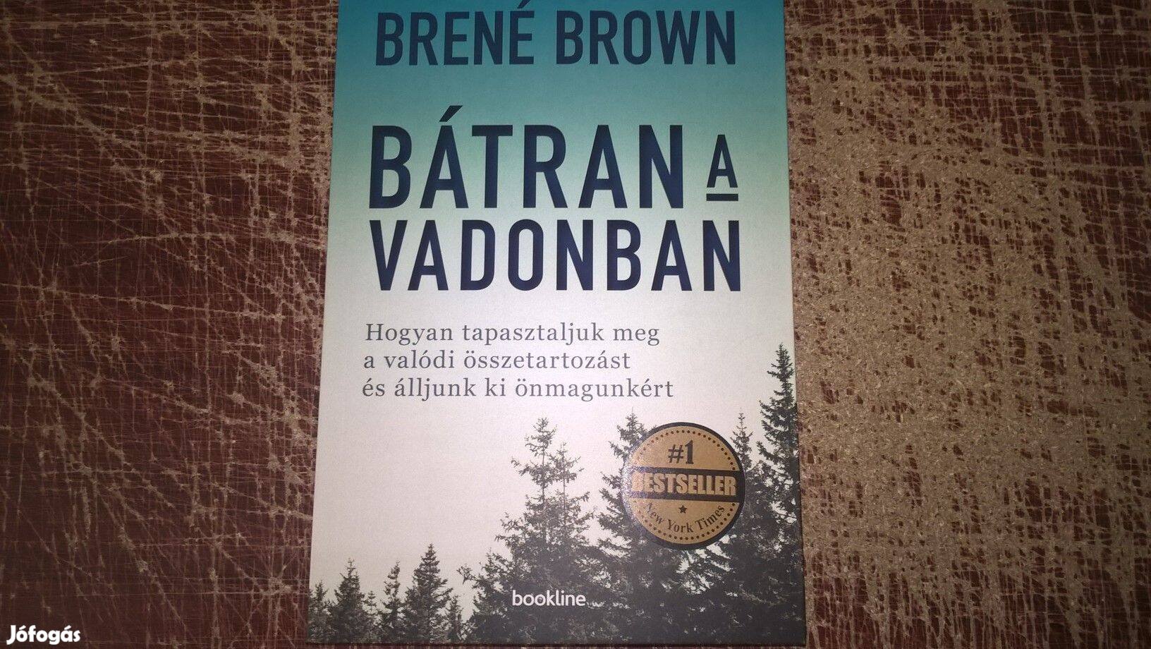 Brené Brown - Bátran a vadonban