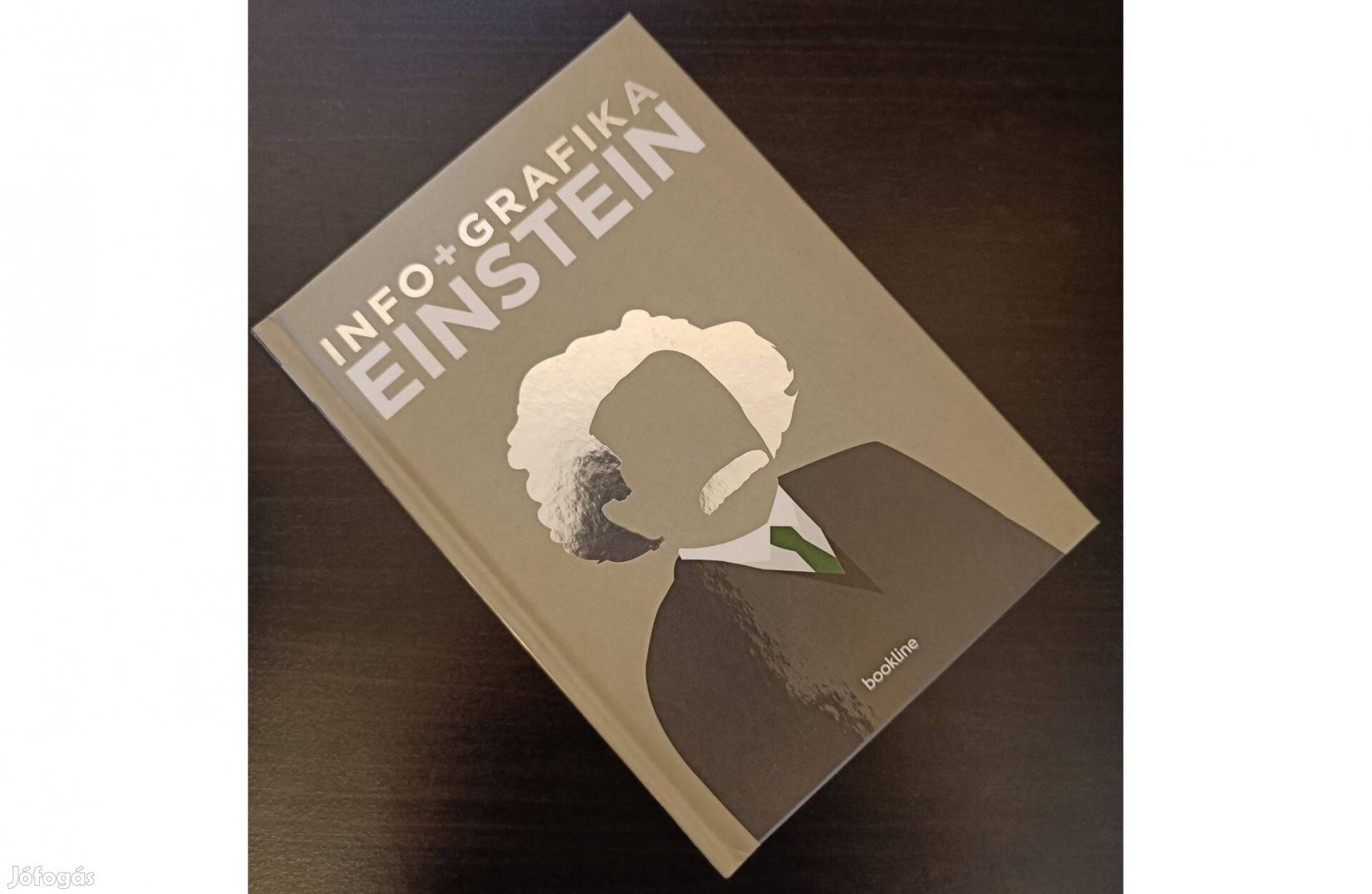 Brian Clegg: Infografika - Einstein