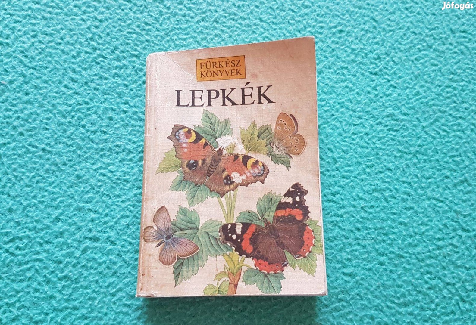 Brian Hargreaves - Michael Chinery: Lepkék (Fürkész könyvek)