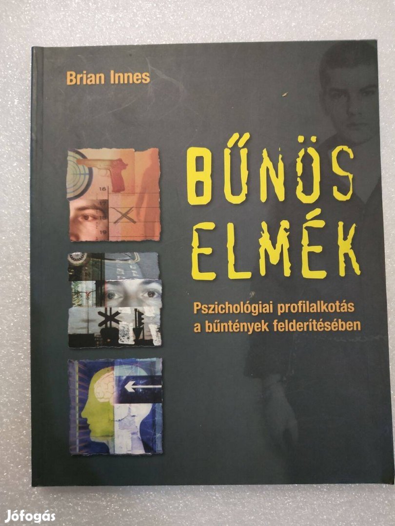 Brian Innes - Bűnös elmék - Pszichológiai profilalkotás a bűntények