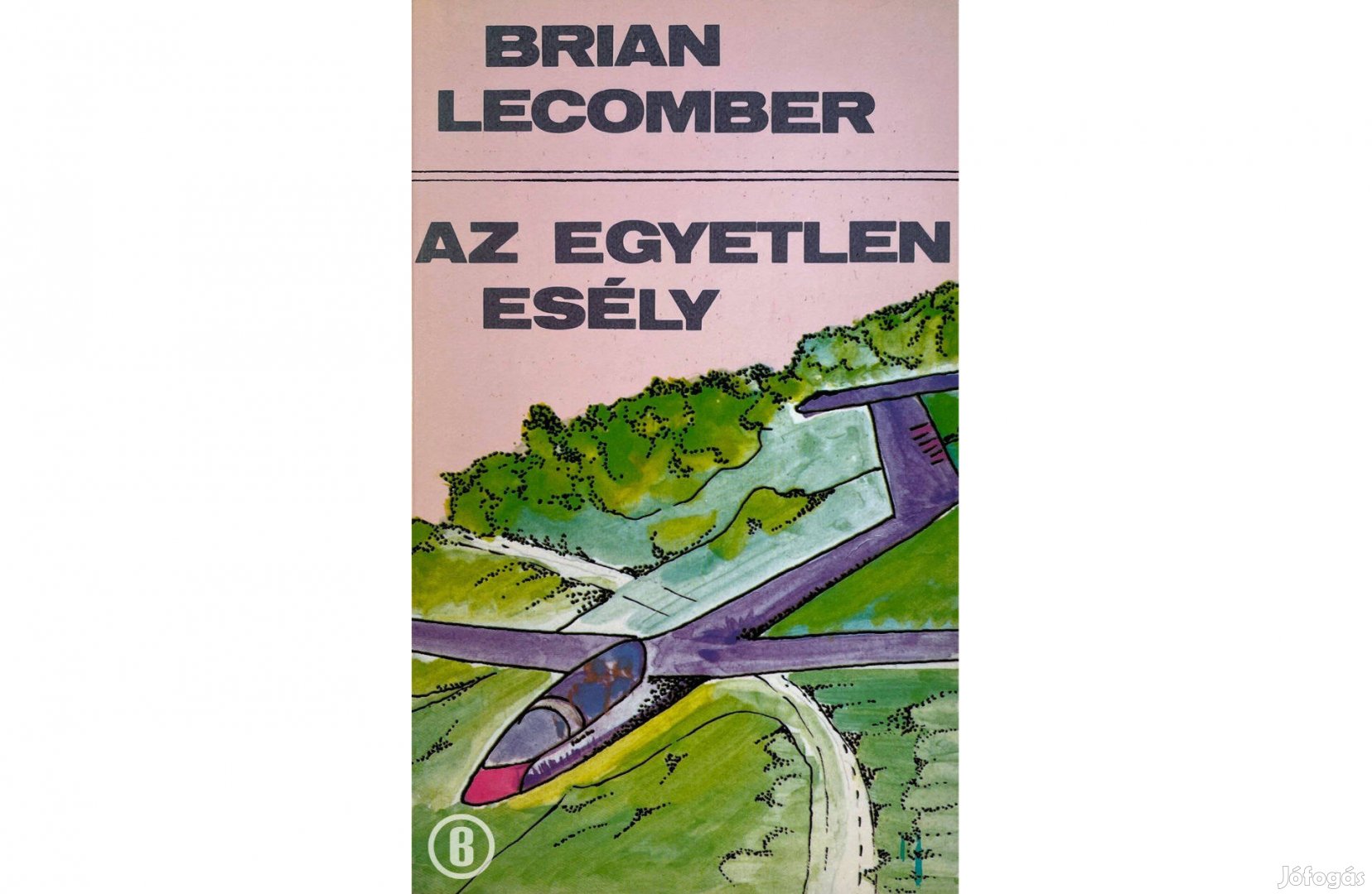 Brian Lecomber: Az egyetlen esély