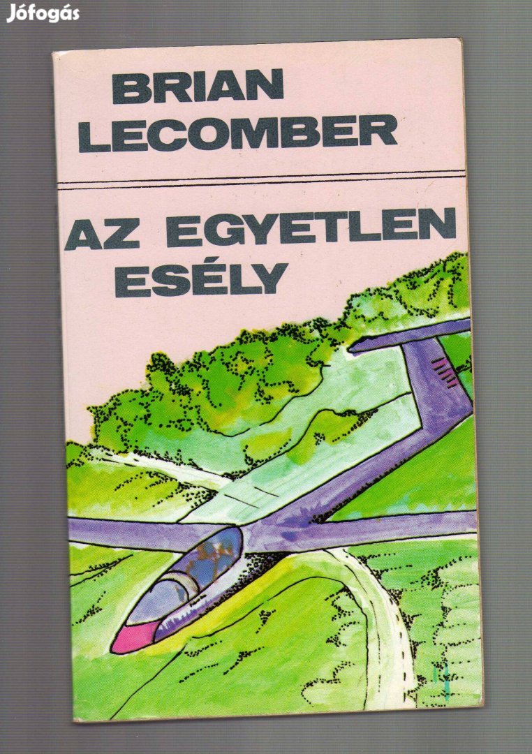 Brian Lecomber: Az egyetlen esély