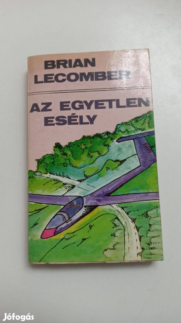 Brian Lecomber - Az egyetlen esély