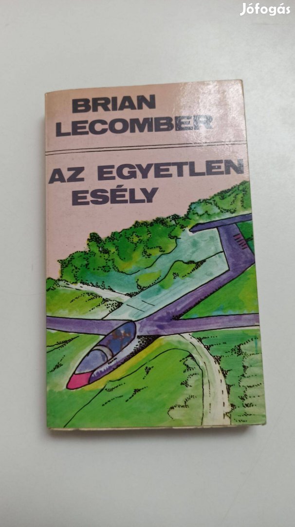 Brian Lecomber - Az egyetlen esély