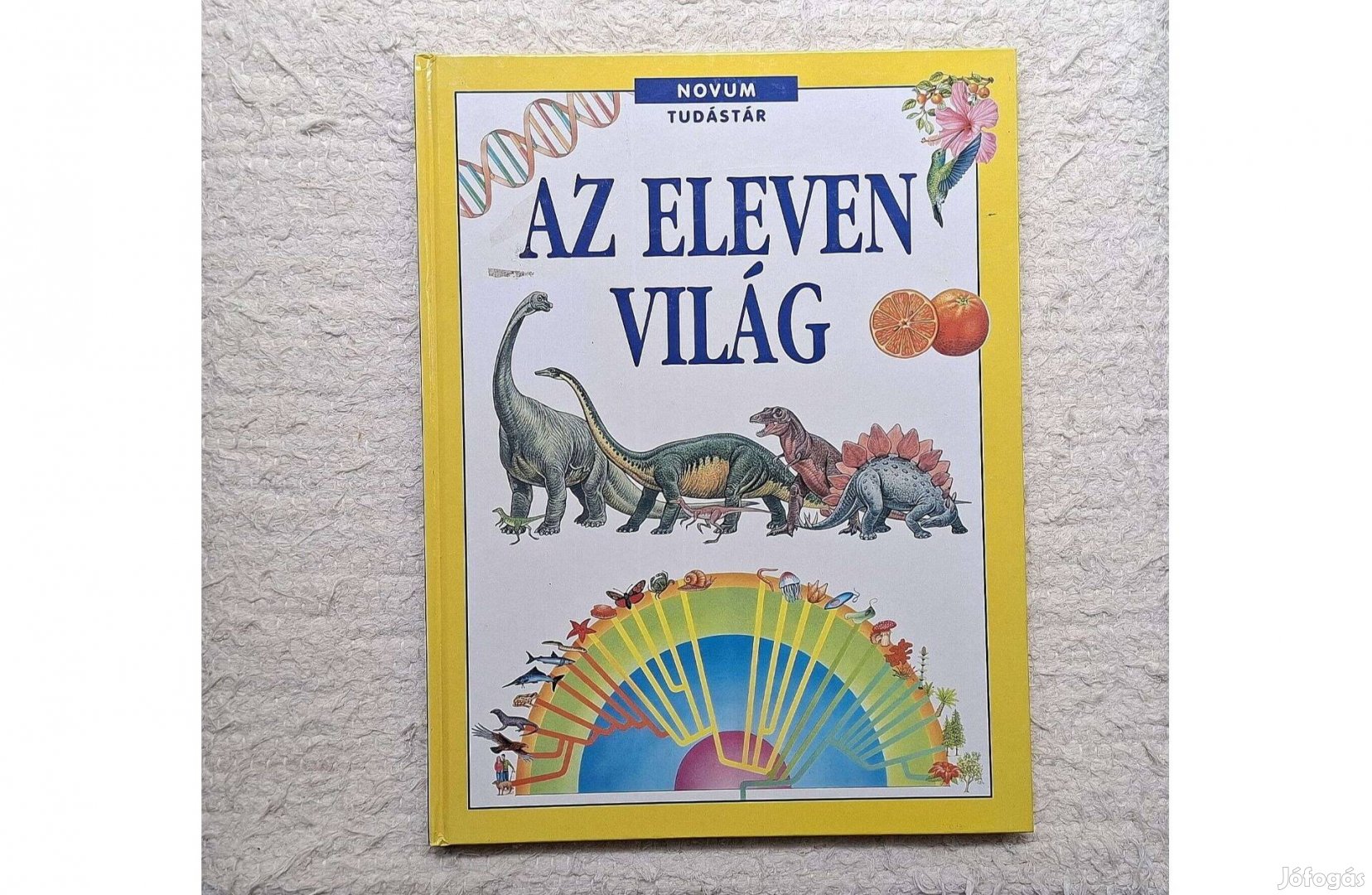 Brian Williams Az eleven világ Tudástár Novum Könyvkiadó Új!