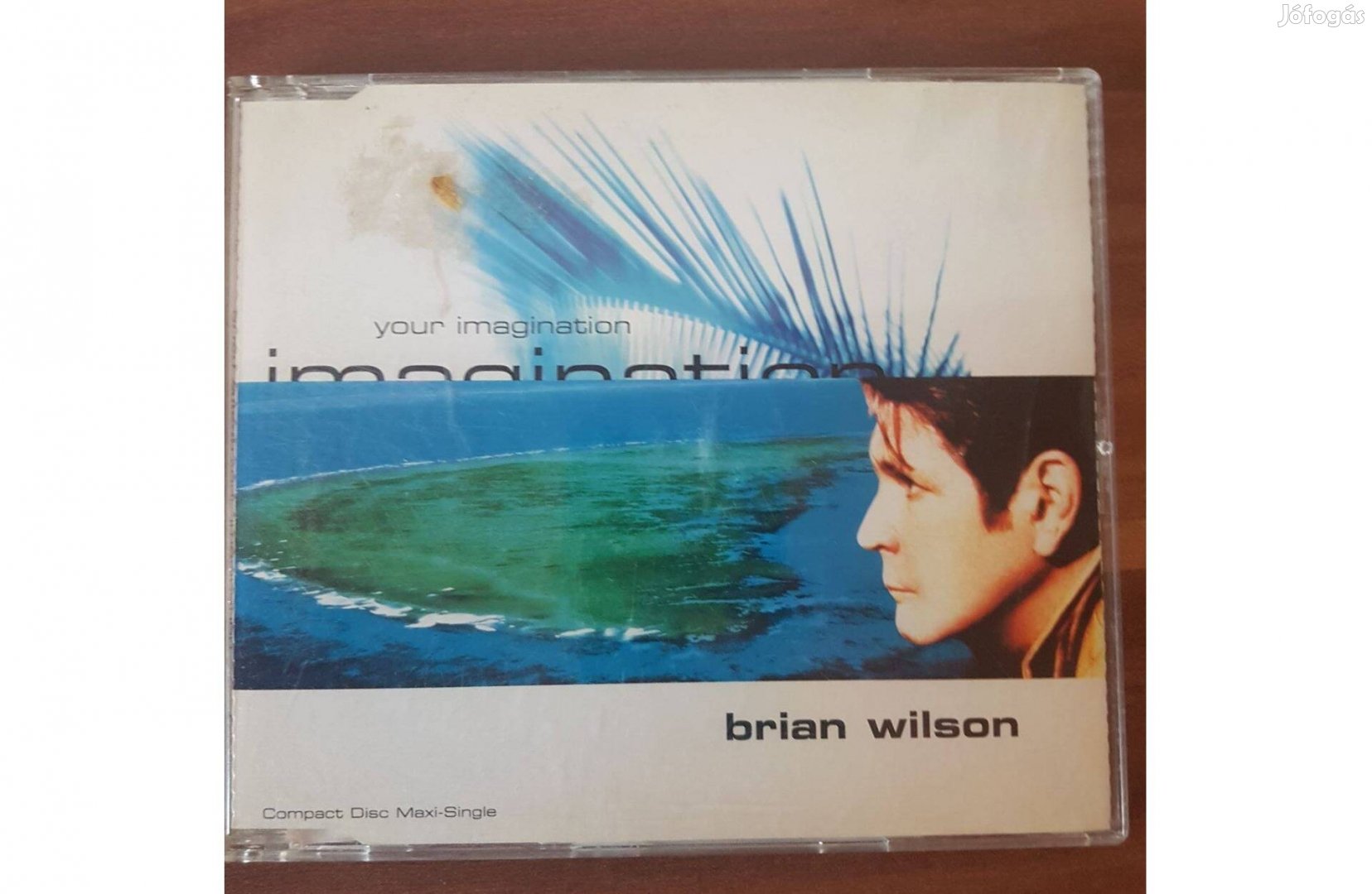 Brian Wilson - Your Imagination cd