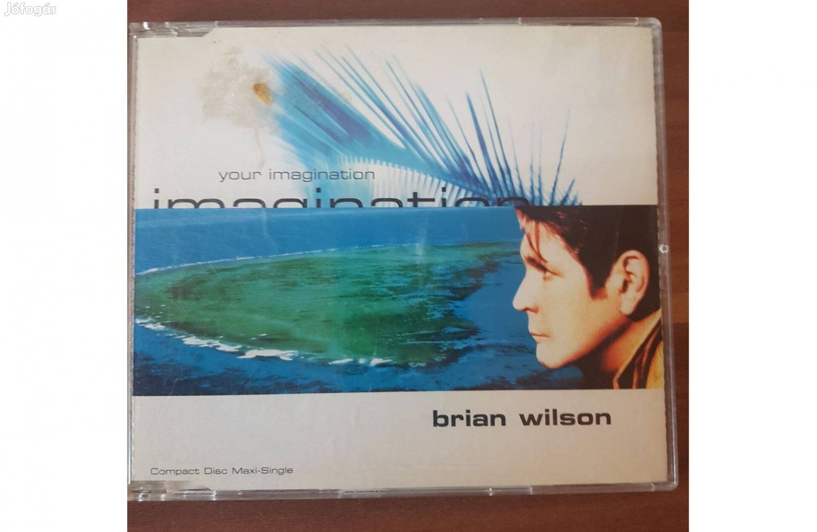 Brian Wilson - Your Imagination cd