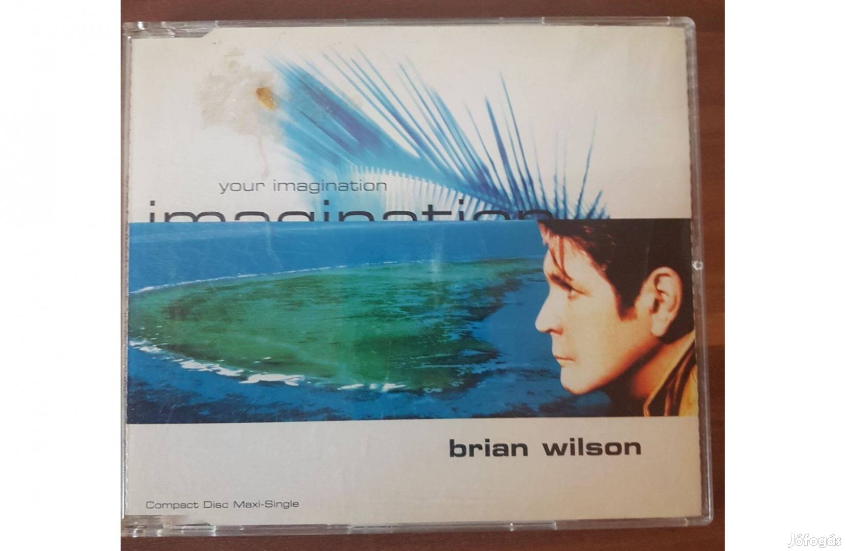 Brian Wilson - Your Imagination cd