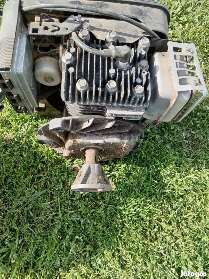 Briggs & Stratton motor