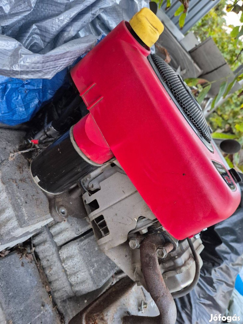 Briggs & stratton 10.5 Hp